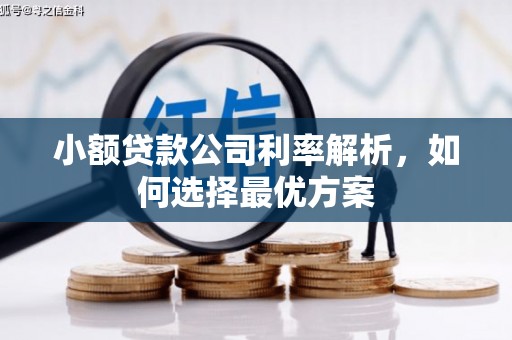 独山小额贷款公司利率解析，如何选择最优方案