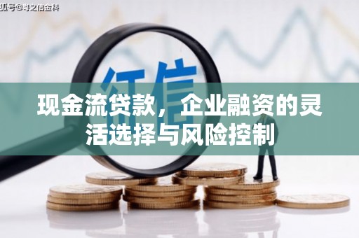 独山现金流贷款，企业融资的灵活选择与风险控制