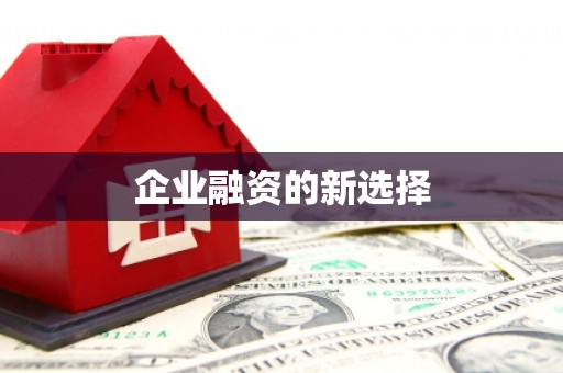 独山企业融资的新选择