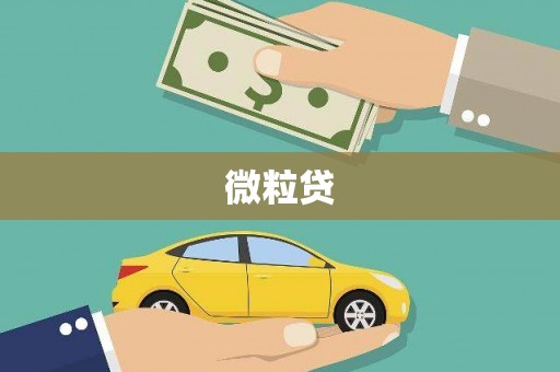 独山微粒贷