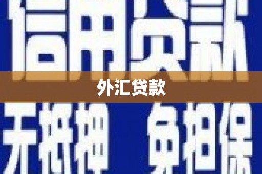 独山外汇贷款