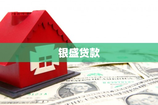 独山银盛贷款