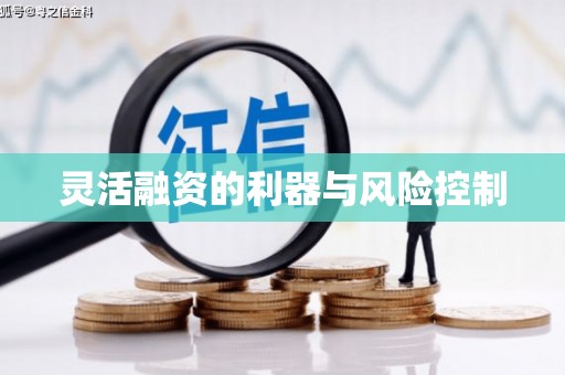 独山灵活融资的利器与风险控制