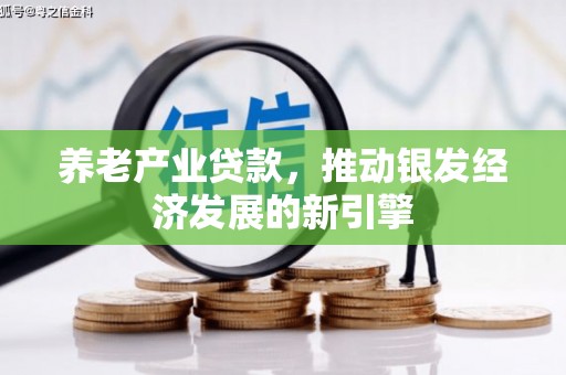 独山养老产业贷款，推动银发经济发展的新引擎