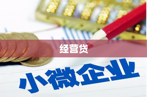 独山经营贷