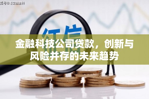 独山金融科技公司贷款，创新与风险并存的未来趋势