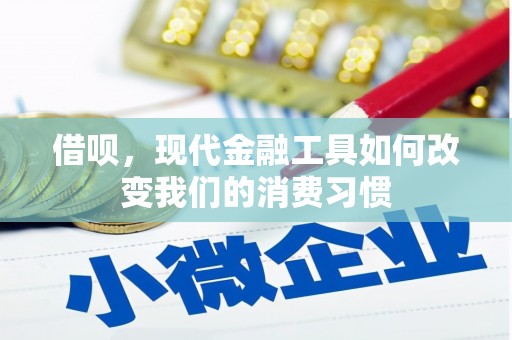 独山借呗，现代金融工具如何改变我们的消费习惯