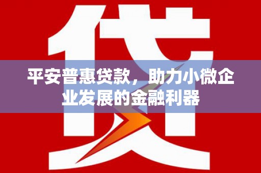 独山平安普惠贷款，助力小微企业发展的金融利器