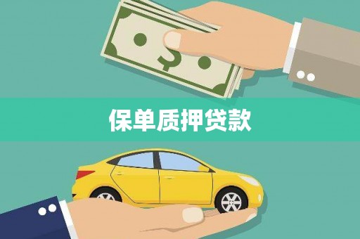 独山保单质押贷款