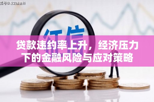 独山贷款违约率上升，经济压力下的金融风险与应对策略