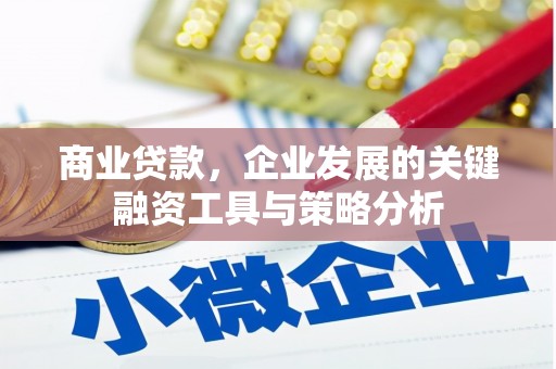 独山商业贷款，企业发展的关键融资工具与策略分析
