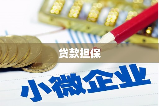 独山贷款担保