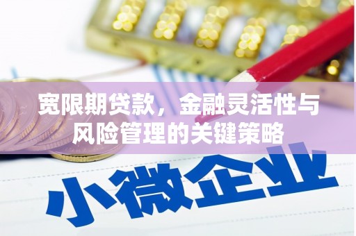 独山宽限期贷款，金融灵活性与风险管理的关键策略