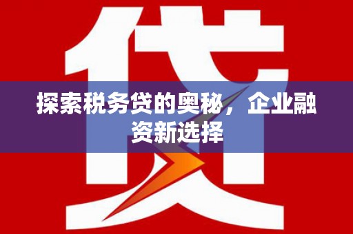 独山探索税务贷的奥秘，企业融资新选择