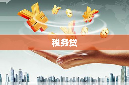 独山税务贷