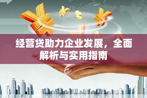 独山经营贷助力企业发展，全面解析与实用指南