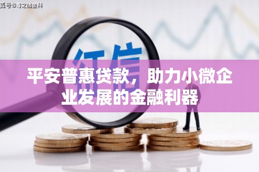 独山平安普惠贷款，助力小微企业发展的金融利器