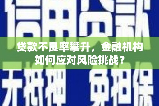 独山贷款不良率攀升，金融机构如何应对风险挑战？