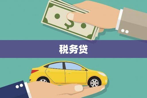 独山税务贷