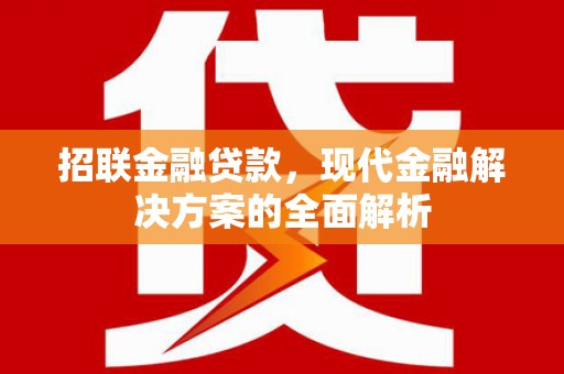 独山招联金融贷款，现代金融解决方案的全面解析