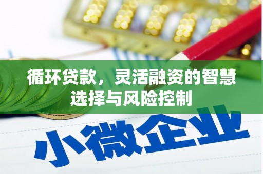 独山循环贷款，灵活融资的智慧选择与风险控制