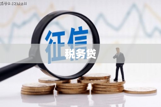 独山税务贷