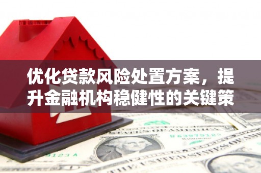 独山优化贷款风险处置方案，提升金融机构稳健性的关键策略