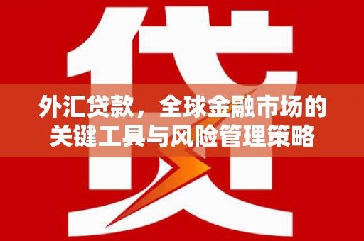 独山外汇贷款，全球金融市场的关键工具与风险管理策略