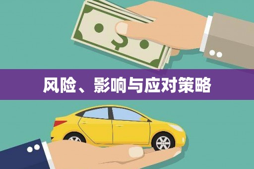 独山风险、影响与应对策略