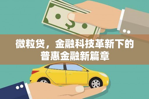 独山微粒贷，金融科技革新下的普惠金融新篇章