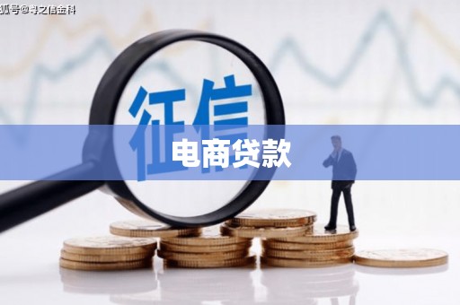 独山电商贷款