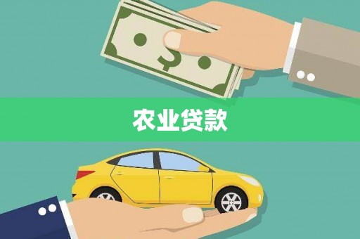 独山农业贷款