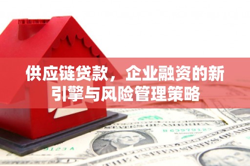 独山供应链贷款，企业融资的新引擎与风险管理策略