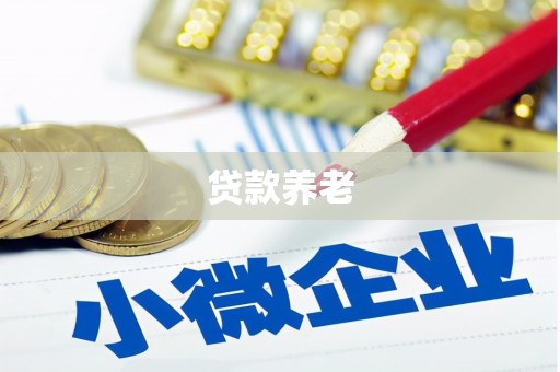独山贷款养老