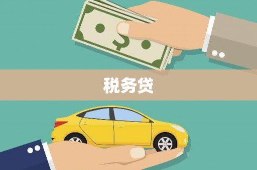 独山税务贷