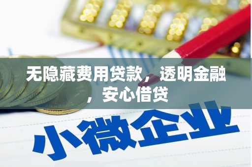 独山无隐藏费用贷款，透明金融，安心借贷