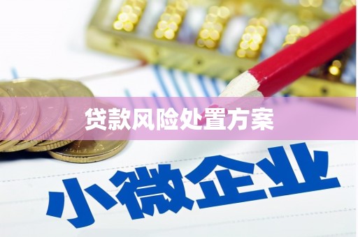 独山贷款风险处置方案