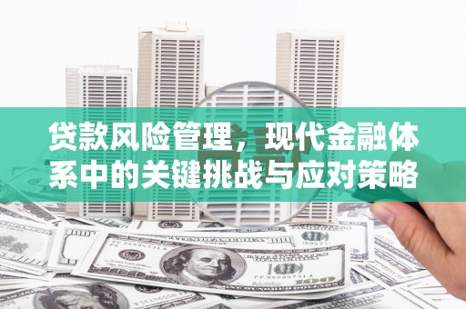 独山贷款风险管理，现代金融体系中的关键挑战与应对策略