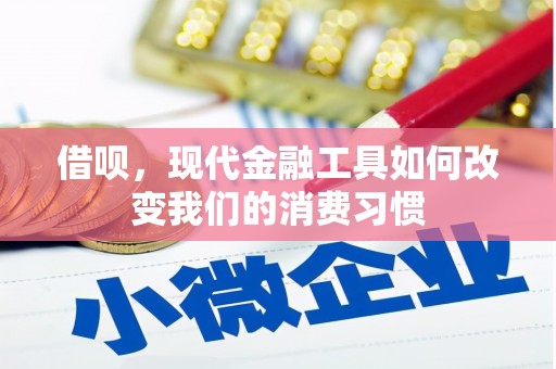 独山借呗，现代金融工具如何改变我们的消费习惯