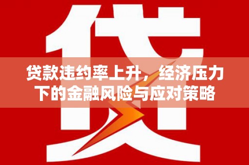 独山贷款违约率上升，经济压力下的金融风险与应对策略