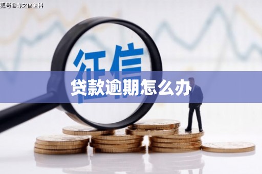 独山贷款逾期怎么办