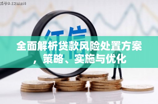 独山全面解析贷款风险处置方案，策略、实施与优化