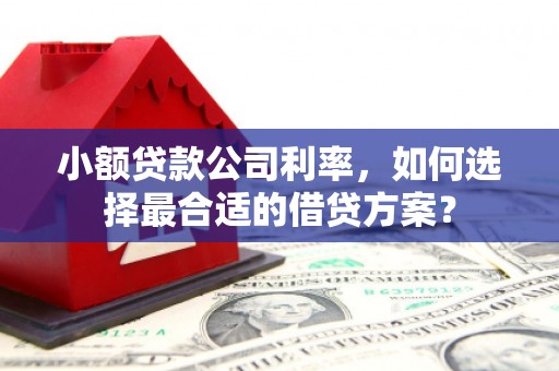 独山小额贷款公司利率，如何选择最合适的借贷方案？