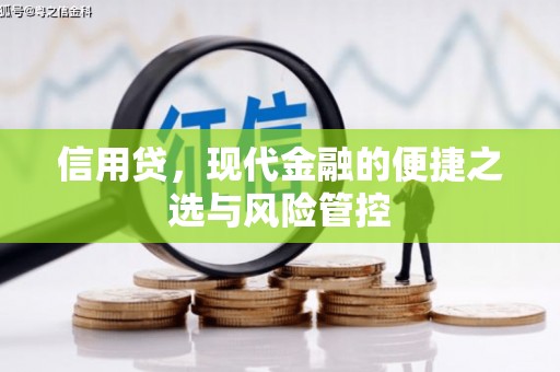 独山信用贷，现代金融的便捷之选与风险管控