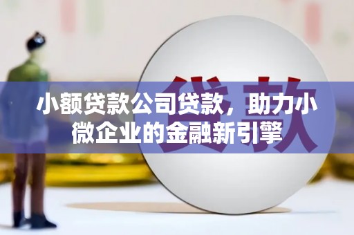独山小额贷款公司贷款，助力小微企业的金融新引擎