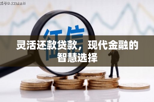 独山灵活还款贷款，现代金融的智慧选择