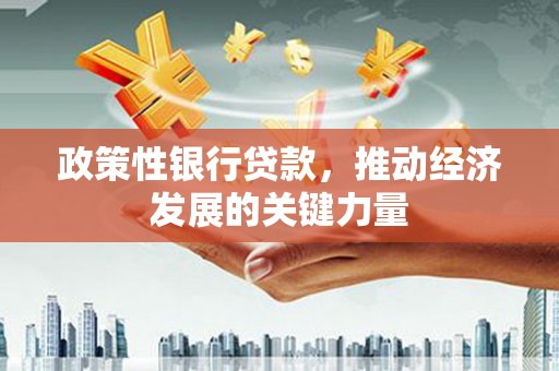 独山政策性银行贷款，推动经济发展的关键力量
