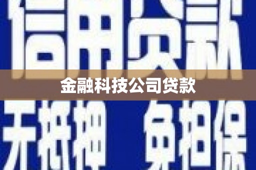 独山金融科技公司贷款