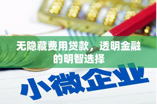 独山无隐藏费用贷款，透明金融的明智选择