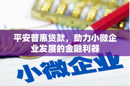 独山平安普惠贷款，助力小微企业发展的金融利器